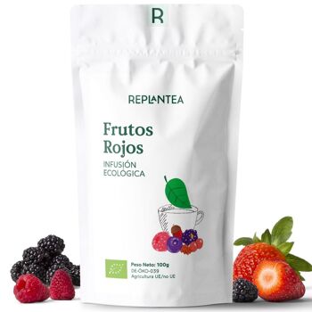 Infusion Fruits Rouges Bio 100g 2