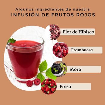 Infusion Fruits Rouges Bio 100g 5