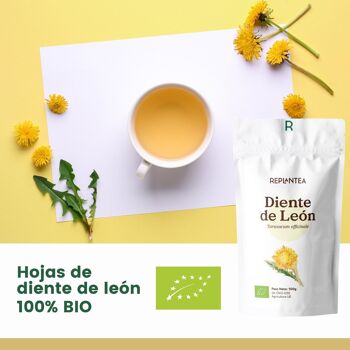 Infusion Pissenlit Bio 100g 2