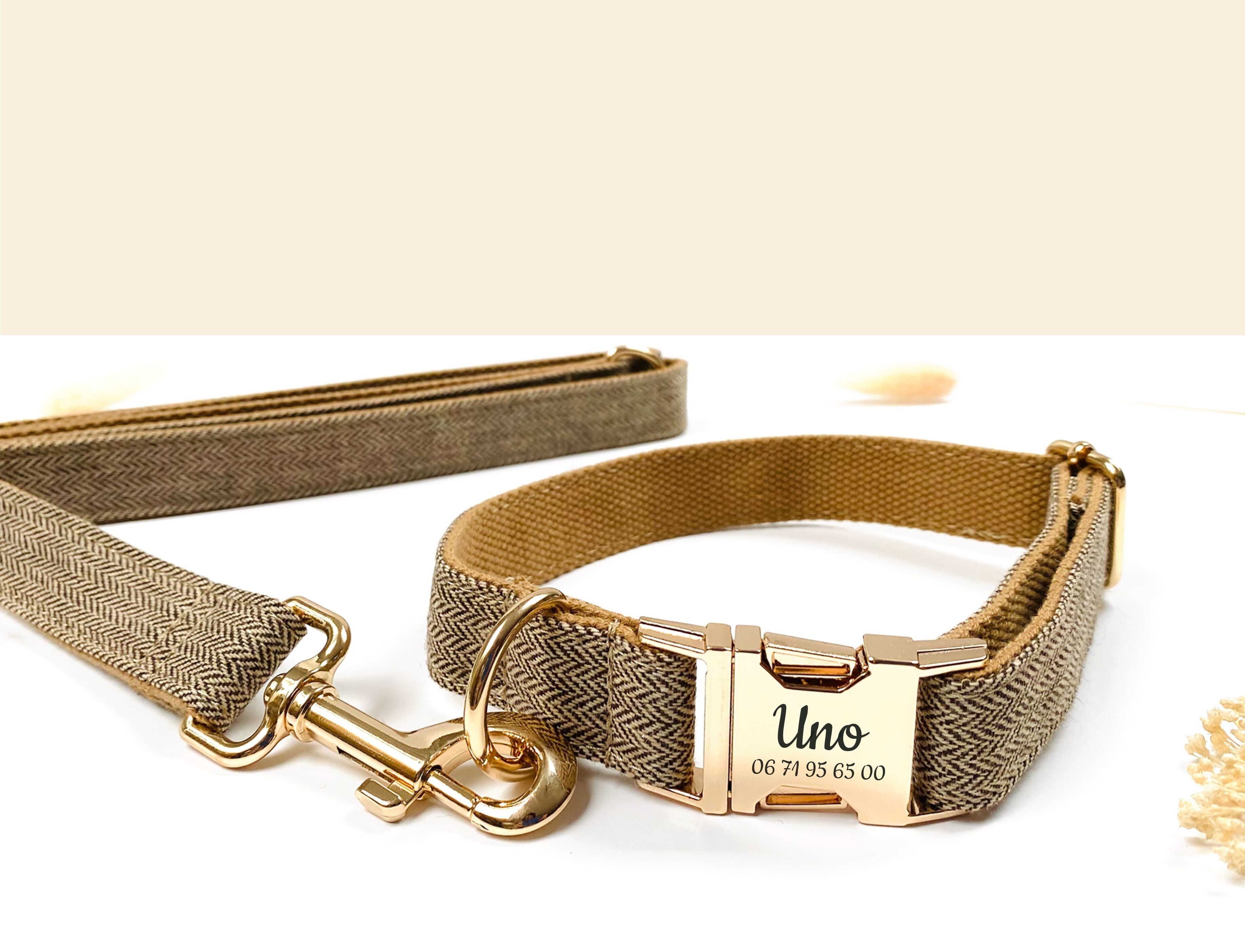 Laisse Chien Chevron Noisette