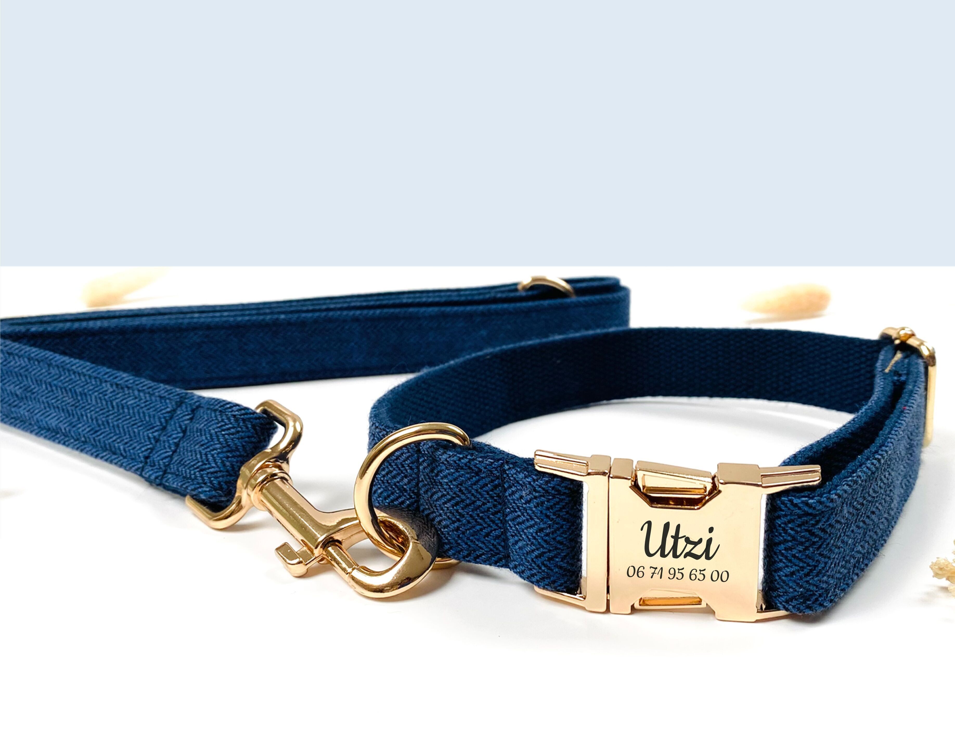 Laisse Chien Chevron Marine