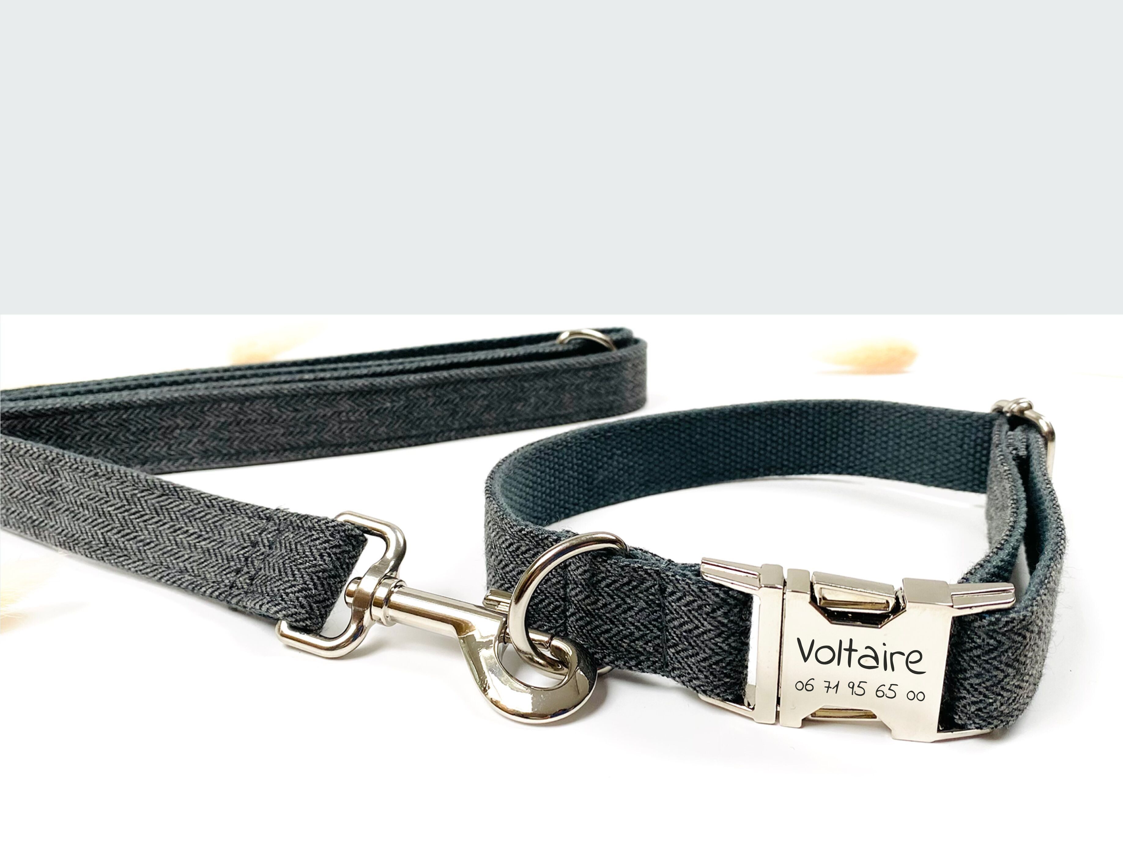 Laisse Chien Chevron Gris