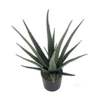 PLANTE ARTIFICIELLE ALOE VERA _50CM ST26577 2