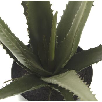 PLANTE ARTIFICIELLE ALOE VERA _50CM ST26577 4