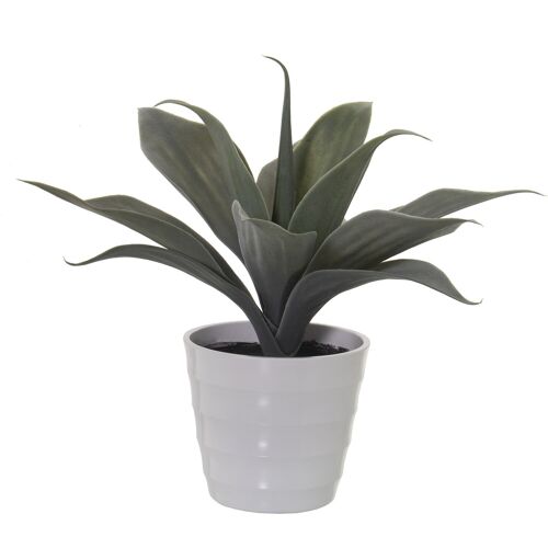 PLANTA ARTIFICIAL ALOE VERA 35CM ST26595