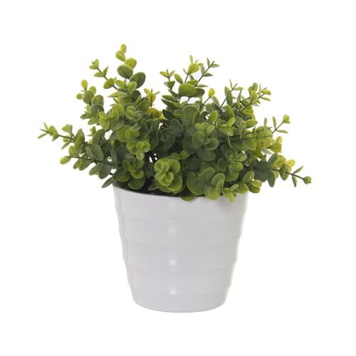 PLANTA ARTIFICIAL CRASSULA 25CM ST26588