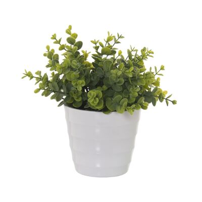 KÜNSTLICHE PFLANZE CRASSULA 25CM ST26588