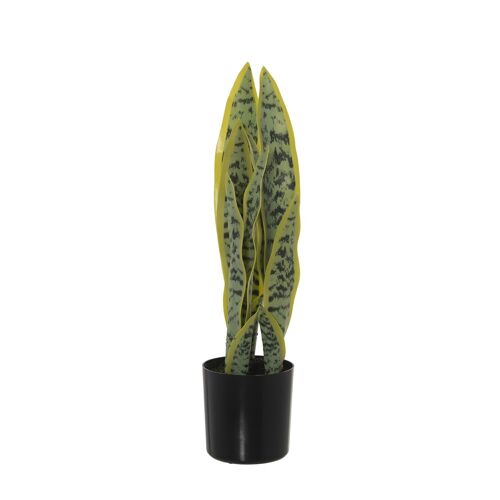 PLANTA ARTIFICIAL DRÁCENA (SANSEVIERIA) 42CM ST26600