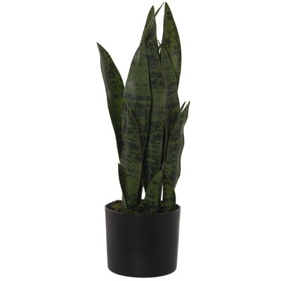 PLANTA ARTIFICIAL DRACENA (SANSEVIERIA) 50CM ST26598