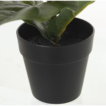 PLANTE FICUS ARTIFICIELLE 35CM ST26594 2