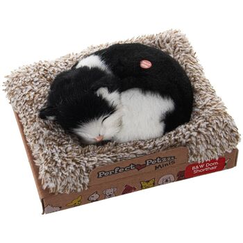 PELUCHE AVEC SON MINI CHAT 14X13X5.5CM ST67724 1