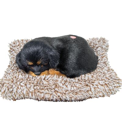 PLUSH WITH SOUND ROTTWEILER MINI _14X13X5.5CM ST67729