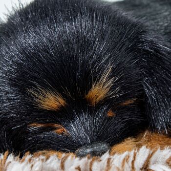 PELUCHE AVEC SON ROTTWEILER MINI _14X13X5.5CM ST67729 4