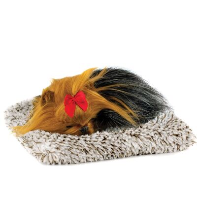 PELUCHE AVEC SON YORKIE MINI _14X13X5.5CM ST67725