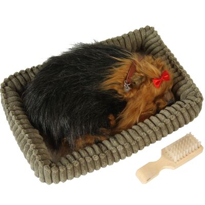 PELUCHE CHIEN YORKIE EN MOUVEMENT _23X19X10CM ST67707