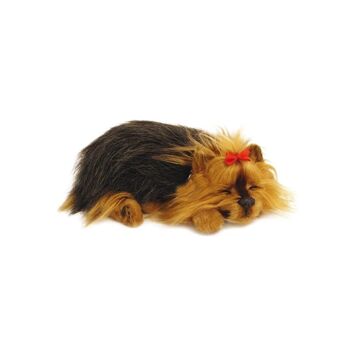 PELUCHE CHIEN YORKIE EN MOUVEMENT _23X19X10CM ST67707 2