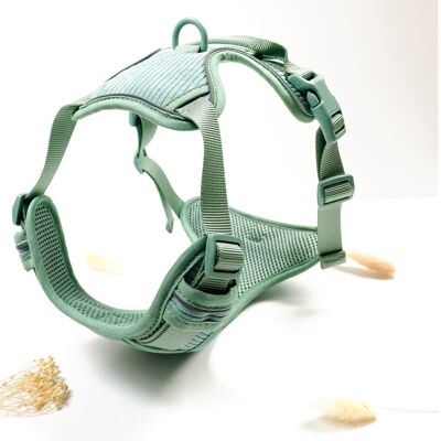 Soft Harness in Blue Corduroy