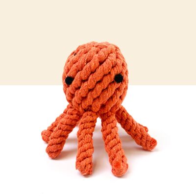 Octopus in Strings for Dogs and Cats