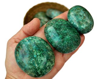 1 Kg Lot de pierre de palmier chrysocolle verte (7-8 pièces) - (50mm - 70mm) 1