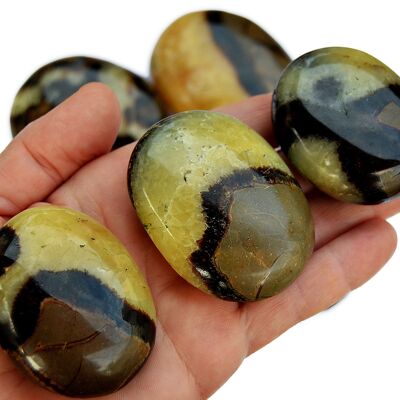 1 Kg Lot of Septarian Palm Stone (8-10 Pcs) - (40mm - 70mm)