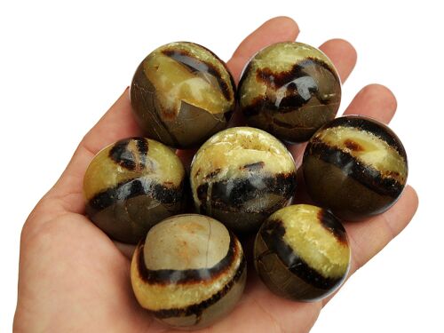 1 Kg Lot of Septarian Sphere Crystal (14-15 Pcs) - (25mm - 40mm)