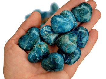 Coeur hinchado d'apatito bleu (30 mm) 3