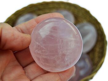 Pierre de palmier en quartz rose (40 mm - 70 mm) 6