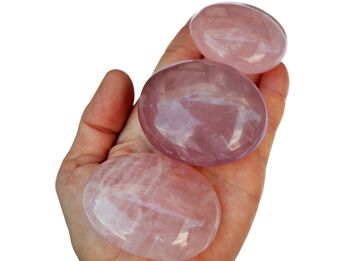 Pierre de palmier en quartz rose (40 mm - 70 mm) 7