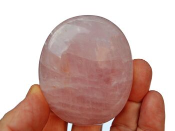 Pierre de palmier en quartz rose (40 mm - 70 mm) 8