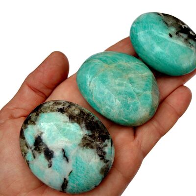 Pierre de palmier Amazonite (40mm - 60mm)