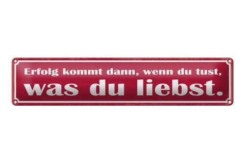 Blechschild Spruch 46x10cm Erfolg du tust was du liebst Dekoration