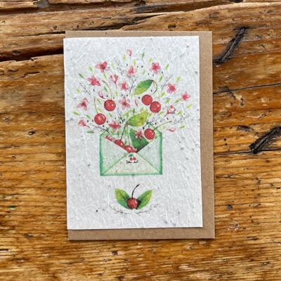 Tarjeta de felicitación con semillas para plantar sobre de cereza / en inglés lote de 5