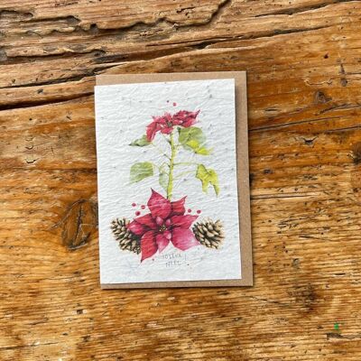Carte de vœux ensemencée à planter Poinsettia par 5