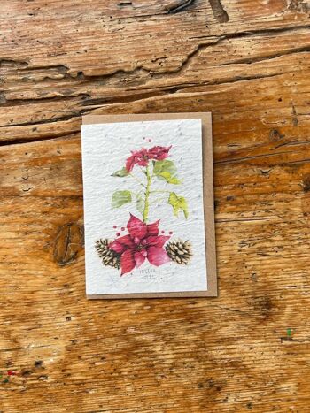 Carte de vœux ensemencée à planter Poinsettia par 5 1