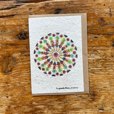 Seeded greeting card to plant Rosette / in English batch of 5
