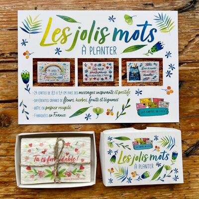 Palabras bonitas para plantar N°1 - set de 24 mini palabras