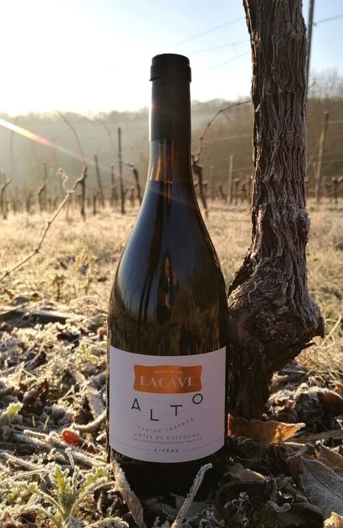 Vin rouge conversion bio - Domaine Lacave - ALTO - 2020 - 75 cl