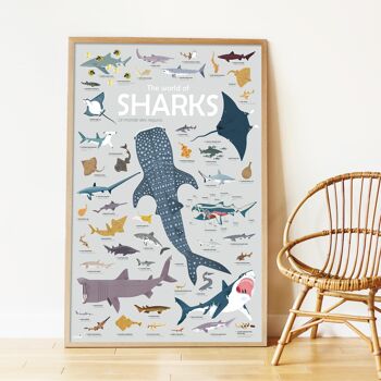 Poster éducatif en sticker les requins 2