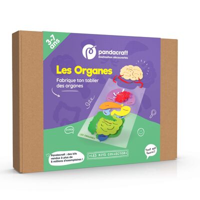 Les organes 3- 7 ans pandacraft