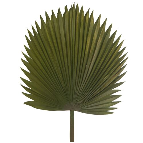 HOJA PALMERA POLIESTER VERDE _117CM ST27843