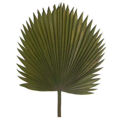 GREEN POLYESTER PALM LEAF _117CM ST27843