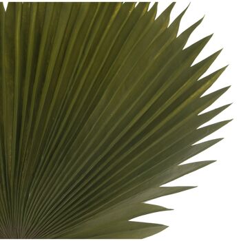 FEUILLE DE PALMIER POLYESTER VERT _117CM ST27843 3