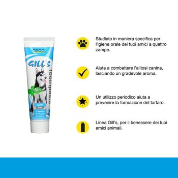 Dentifrice pour chien à la menthe - Gill's 2
