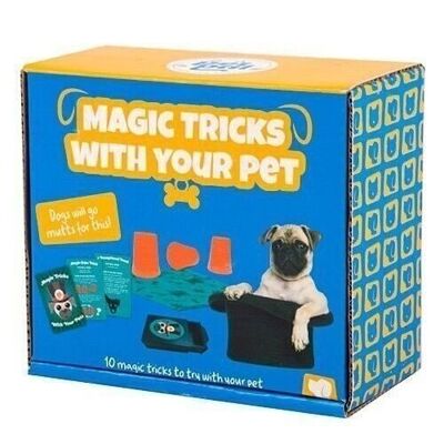 Trucos de magia con tu mascota