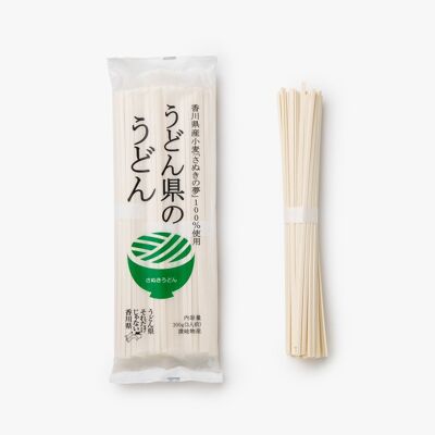 Udon - Spaghetti di grano Kagawa - 300g
