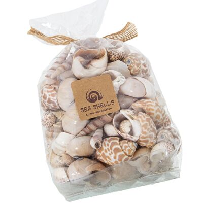 BAG OF ASSORTED NATURAL SHELLS, APPROX WEIGHT:630GR _BAG:11X9X15/19CM ST26638