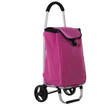 CHARIOT EN ALUMINIUM TELAROSE POLYESTER CHARIOT:46X36X98, SAC:36X26X57 ST82666 1