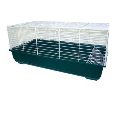 100 Gabbia per Cavia