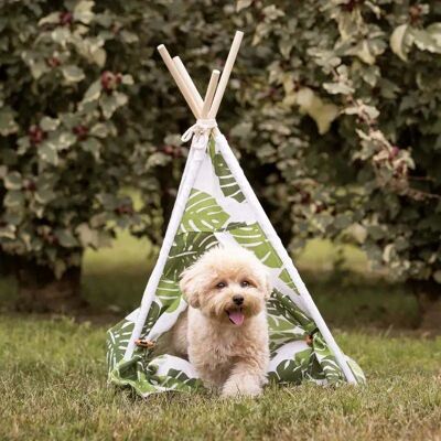 Coussin pour chien - Tente Tipi Jungle