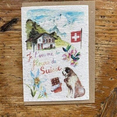 Tarjeta de felicitación con semillas para plantar Suiza en lote de 1 x 10